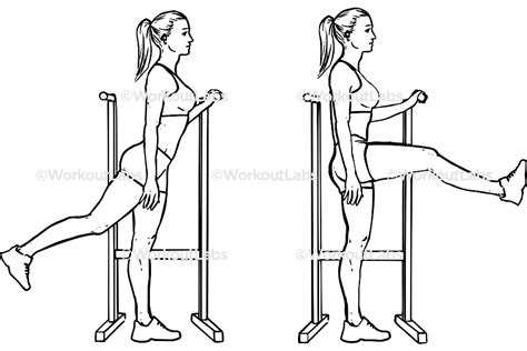 hipswing|Forward Leg Hip Swings – WorkoutLabs Exercise Guide.